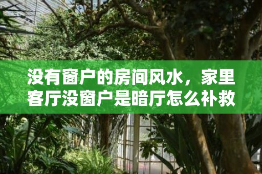 没有窗户的房间风水，家里客厅没窗户是暗厅怎么补救