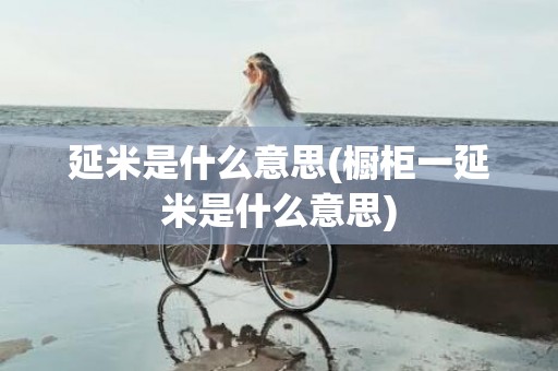 延米是什么意思(橱柜一延米是什么意思)