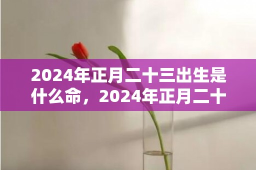 2024年正月二十三出生是什么命，2024年正月二十八出生的小女孩取名最佳字