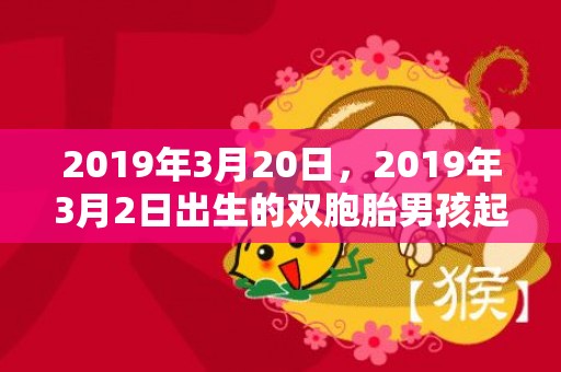 2019年3月20日，2019年3月2日出生的双胞胎男孩起什么名字好听，宜用什么字