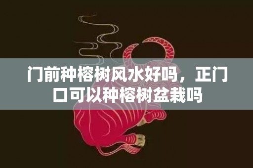 门前种榕树风水好吗，正门口可以种榕树盆栽吗