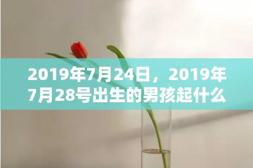 2019年7月24日，2019年7月28号出生的男孩起什么名字比较好，五行属什么