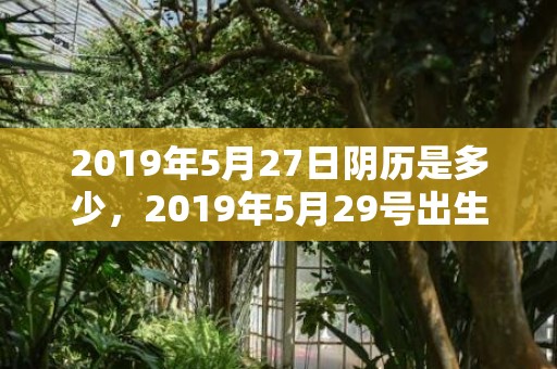 2019年5月27日阴历是多少，2019年5月29号出生的男孩起什么名字好听，五行属什么