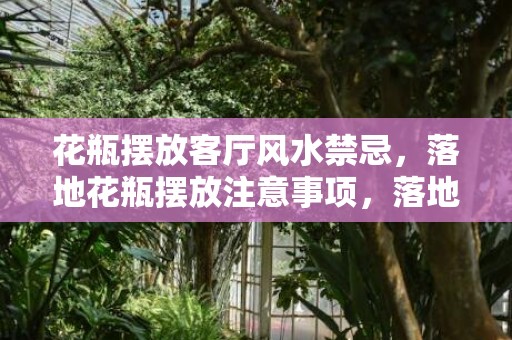 花瓶摆放客厅风水禁忌，落地花瓶摆放注意事项，落地花瓶摆放作用