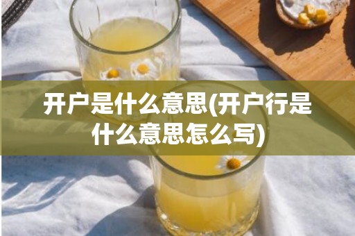 开户是什么意思(开户行是什么意思怎么写)