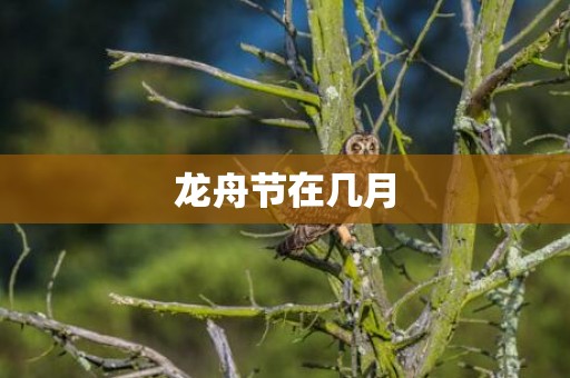 龙舟节在几月