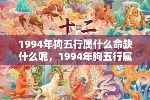 1994年狗五行属什么命缺什么呢，1994年狗五行属什么命