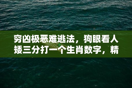 穷凶极恶难逃法，狗眼看人矮三分打一个生肖数字，精选快答解释落实