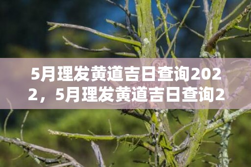 5月理发黄道吉日查询2022，5月理发黄道吉日查询2024