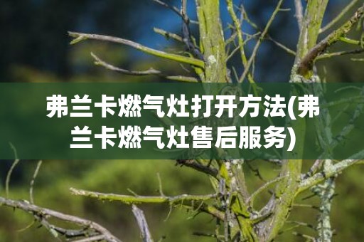 弗兰卡燃气灶打开方法(弗兰卡燃气灶售后服务)