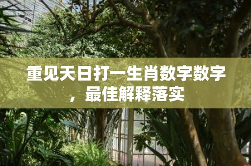 重见天日打一生肖数字数字，最佳解释落实