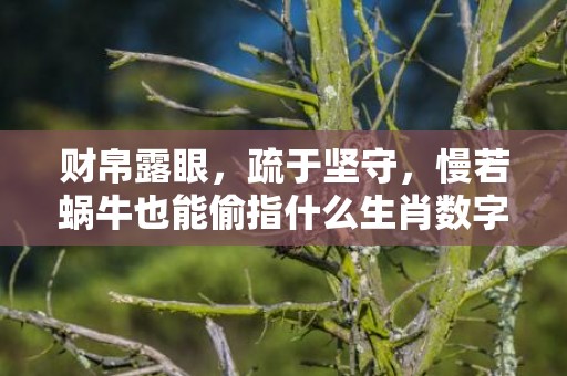 财帛露眼，疏于坚守，慢若蜗牛也能偷指什么生肖数字，标准作答落实