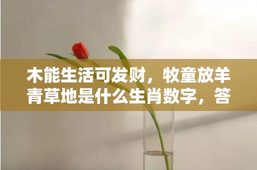 木能生活可发财，牧童放羊青草地是什么生肖数字，答案精选落实