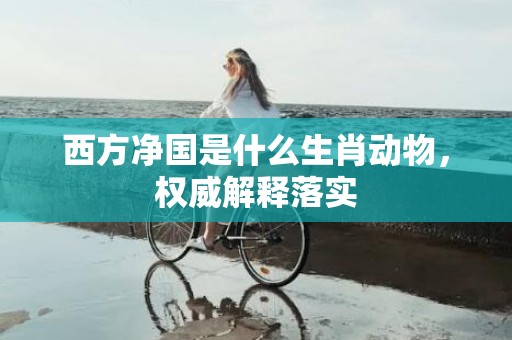 西方净国是什么生肖动物，权威解释落实