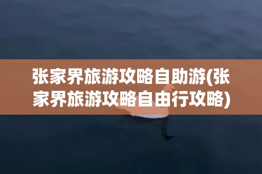 张家界旅游攻略自助游(张家界旅游攻略自由行攻略)