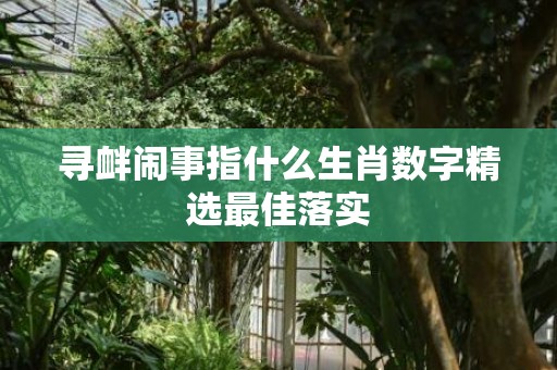 寻衅闹事指什么生肖数字精选最佳落实