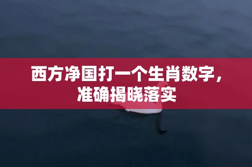 西方净国打一个生肖数字，准确揭晓落实