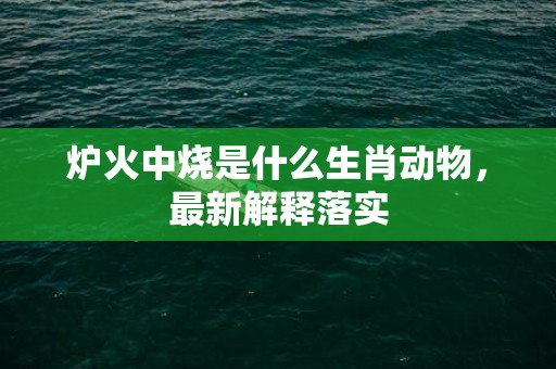 炉火中烧是什么生肖动物，最新解释落实