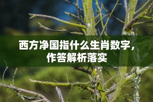 西方净国指什么生肖数字，作答解析落实