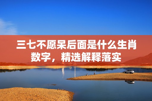 三七不愿呆后面是什么生肖数字，精选解释落实