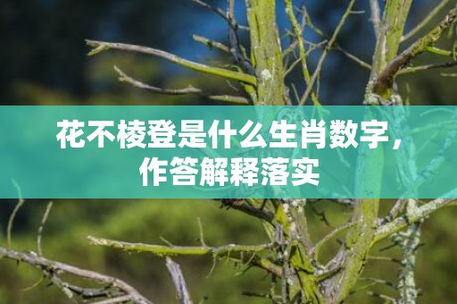 花不棱登是什么生肖数字，作答解释落实