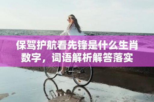 保驾护航看先锋是什么生肖数字，词语解析解答落实