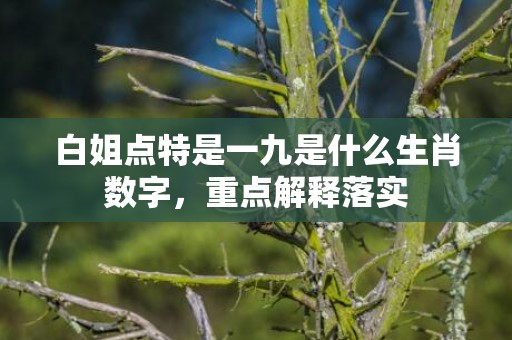 白姐点特是一九是什么生肖数字，重点解释落实