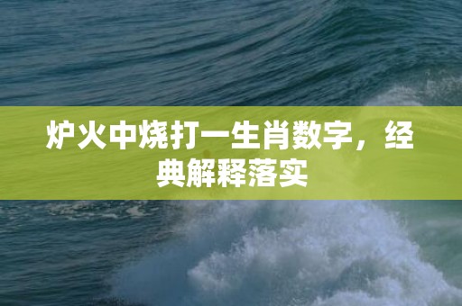 炉火中烧打一生肖数字，经典解释落实插图