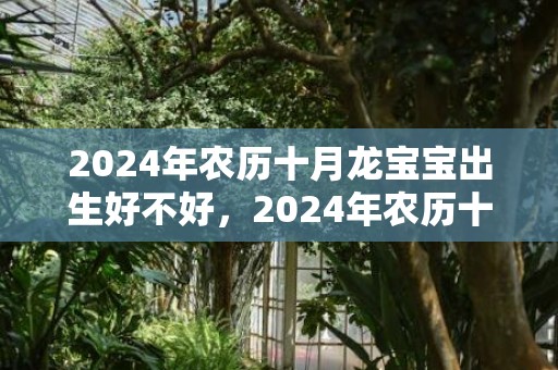 2024年农历十月龙宝宝出生好不好，2024年农历十二月初八适不适合搬新家