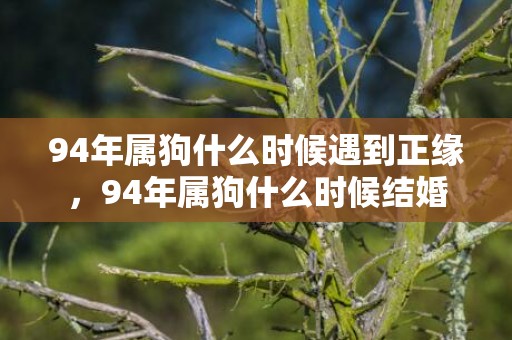 94年属狗什么时候遇到正缘，94年属狗什么时候结婚