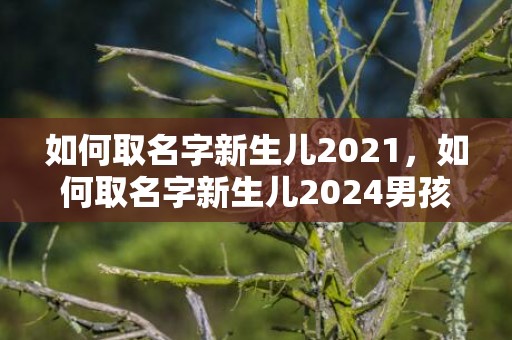 如何取名字新生儿2021，如何取名字新生儿2024男孩女孩