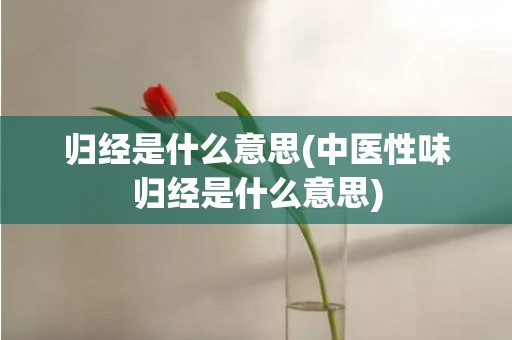 归经是什么意思(中医性味归经是什么意思)