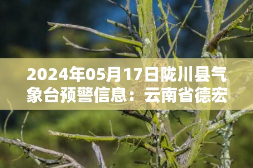 2024年05月17日陇川县气象台预警信息：云南省德宏傣族景颇族自治州陇川县发布暴雨橙色预警