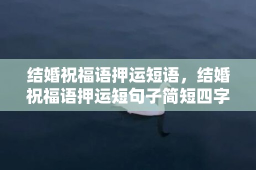 结婚祝福语押运短语，结婚祝福语押运短句子简短四字