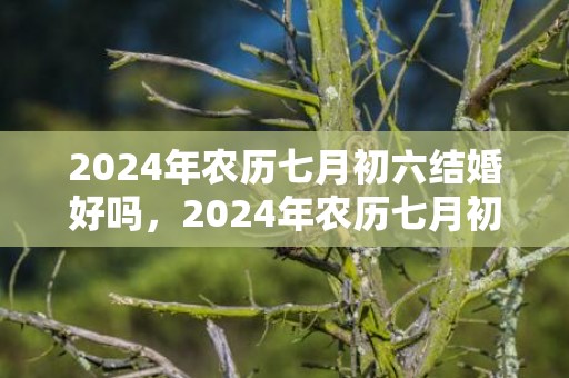 2024年农历七月初六结婚好吗，2024年农历七月初三是理发黄道吉日吗