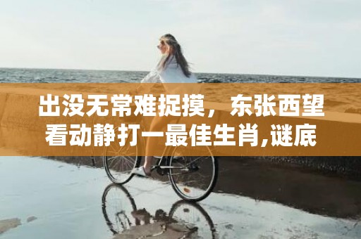 出没无常难捉摸，东张西望看动静打一最佳生肖,谜底解释落实插图