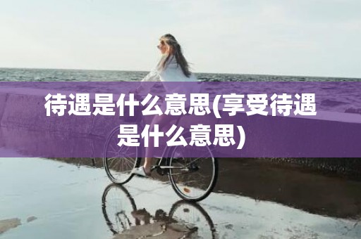 待遇是什么意思(享受待遇是什么意思)