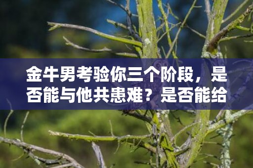 金牛男考验你三个阶段，是否能与他共患难？是否能给他安全感？是否能满足他的物质需求？