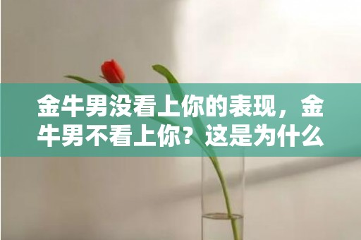 金牛男没看上你的表现，金牛男不看上你？这是为什么？