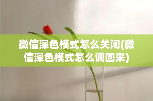 微信深色模式怎么关闭(微信深色模式怎么调回来)