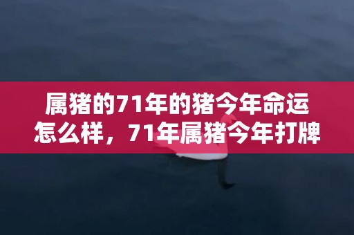 属猪的71年的猪今年命运怎么样，71年属猪今年打牌运气好不好