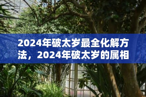 2024年破太岁最全化解方法，2024年破太岁的属相有哪些