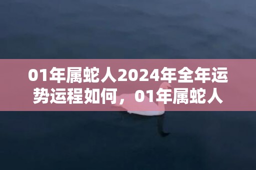 01年属蛇人2024年全年运势运程如何，01年属蛇人2024年运势