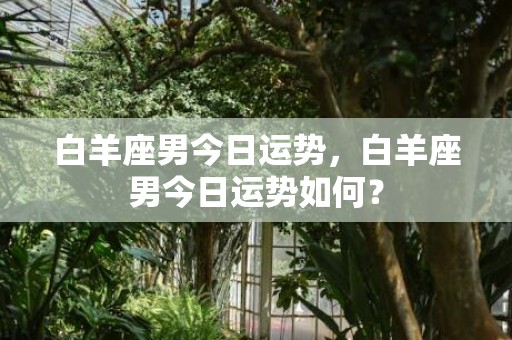 白羊座男今日运势，白羊座男今日运势如何？