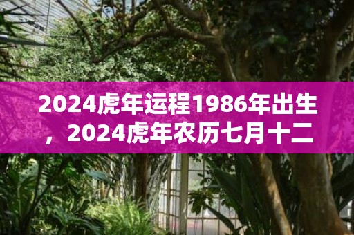 2024虎年运程1986年出生，2024虎年农历七月十二出生女孩高雅好听的名字