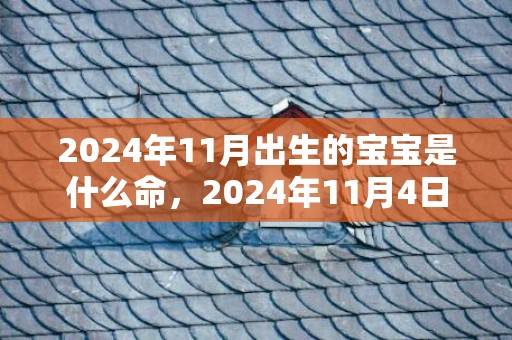 2024年11月出生的宝宝是什么命，2024年11月4日财神方位查询