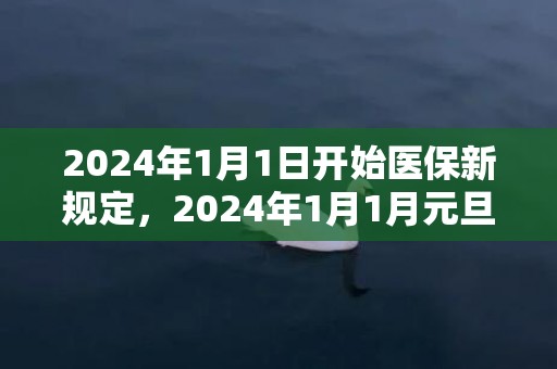 2024年1月1日开始医保新规定，2024年1月1月元旦上坟祭祖好不好