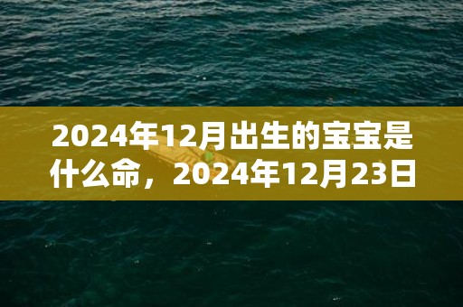 2024年12月出生的宝宝是什么命，2024年12月23日出生女孩高雅好听的名字