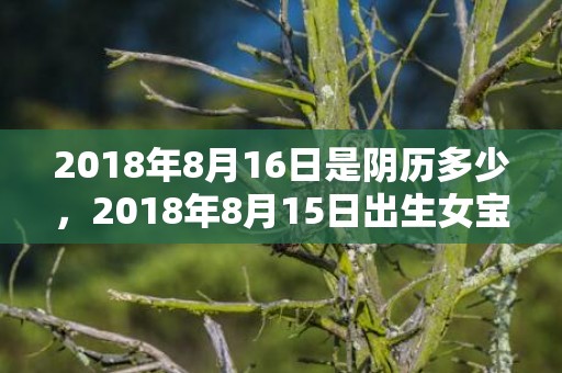 2018年8月16日是阴历多少，2018年8月15日出生女宝宝名字起名，当天黄历好吗？