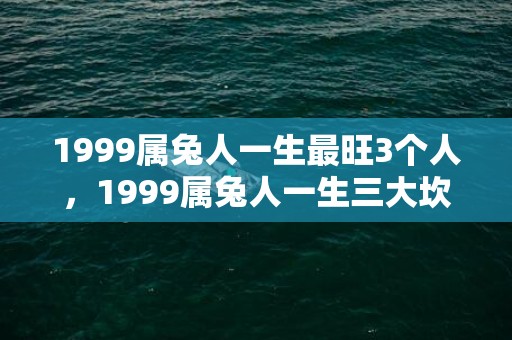 1999属兔人一生最旺3个人，1999属兔人一生三大坎分别是什么